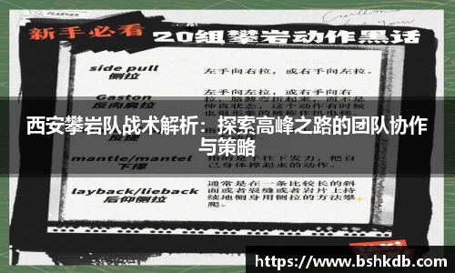 西安攀岩队战术解析：探索高峰之路的团队协作与策略